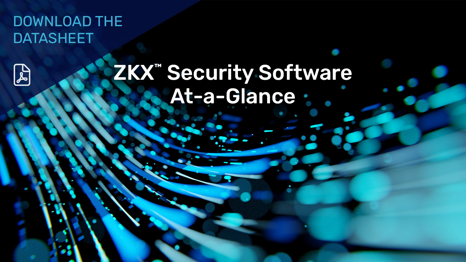 ZKX Software At A Glance