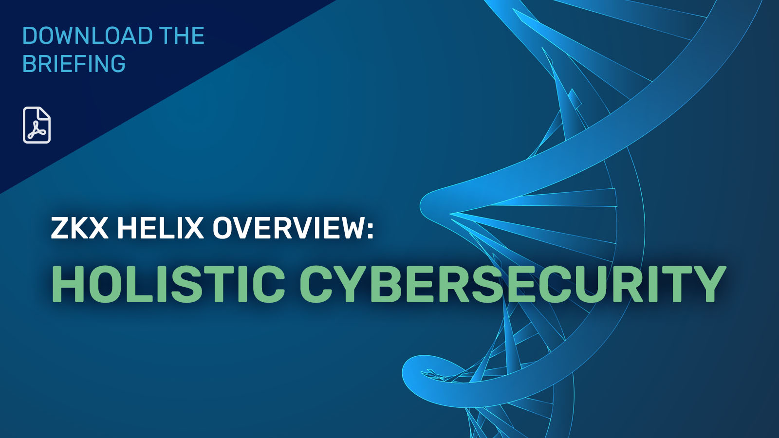 Helix Holistic Cybersecurity